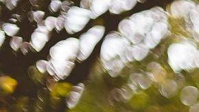 La paz interior es señal de madurez espiritual.