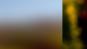 Este ingrediente hace toda la diferencia que hace que unos prefieran una bebida sobre la otra.