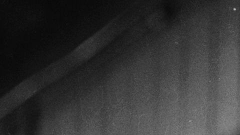 El cepillado dental en perros previene enfermedades severas.