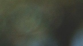 El estudio que muestra por qué no debes gritar a tu mascota.