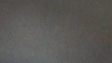 La educación del perro y su familia es fundamental para evitar accidentes.