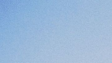 Los perros deben recibir educación para que aprendan qué no deben morder.