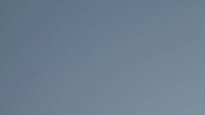 Los cachorros aprendices son los más susceptibles a orinarse por toda la casa.