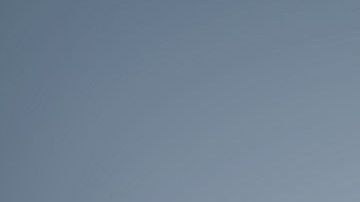 Los cachorros aprendices son los más susceptibles a orinarse por toda la casa.