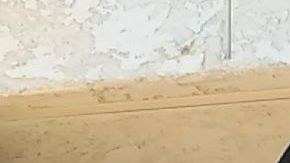 Juan Manolo  fue separado de su hijo por ICE el martes 4 de febrero.