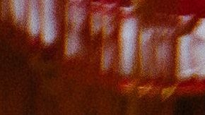 El nuevo año chino inició el 25 de enero de 2020.