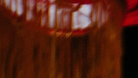 El nuevo año chino inició el 25 de enero de 2020.