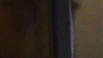 Claudia Álvarez y Billy Rovzar