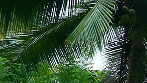 Piscina, una lujo innecesario que no da valor a la vivienda por su construcción.