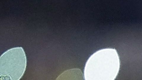 EL fichaje de Pizarro se retrasó por un tema fiscal.