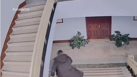El cansancio le cobró factura al policía.