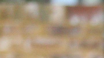 El príncipe George y la princesa Charlotte con sus padres, los Duques de Cambridge