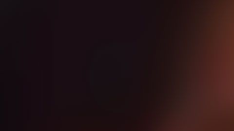 Varios departamentos de policía de Florida participaron en la investigación.