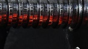 Proteína-Zuzyusa en Pixabay