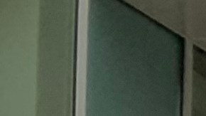 Una coalición de organizaciones, incluyendo MRNY, durante la protesta en Albany contra recortes en el Medicaid.