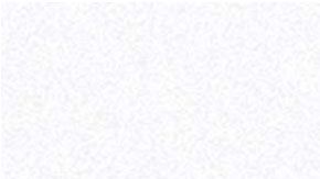 Pumas y América jugarán el viernes.