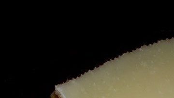 Queso Manchego-PDPhotos en Pixabay