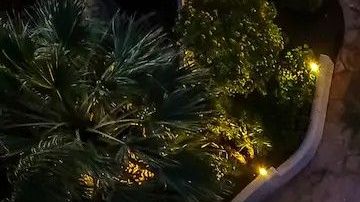 Piscina con río de The Pool House en Scottsdale, Arizona.