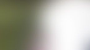 Las imágenes del rescate quedaron captadas en video.