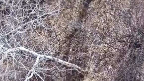 Vista aérea del rescate