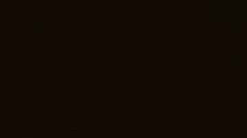 CréditoValeria Boltneva/Pexels