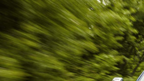 Las camionetas de Ford mantienen la cima.