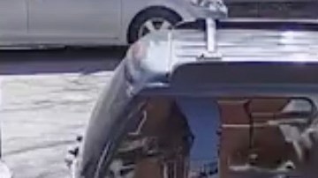 El momento en que el hombre logra escapar.