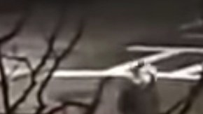 Video del momento del ataque.