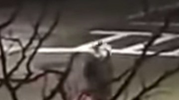Video del momento del ataque.