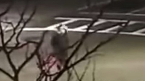 Video del momento del ataque.