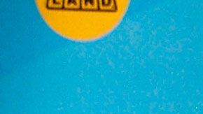 Todos han hecho crecer su dinero con diferentes negocios.