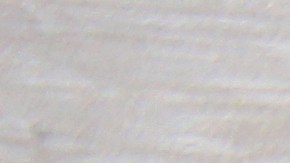 shutterstock_1009921204