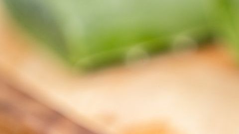 La sábila es popular por sus propiedades antioxidantes y antibacterianas.