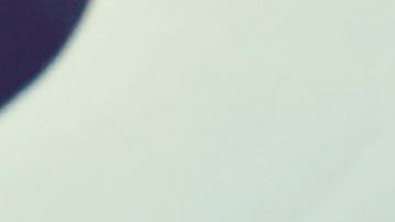 Revisó el teléfono de su novia y descubrió la verdad.