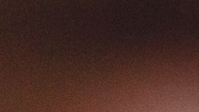 shutterstock_1116037196