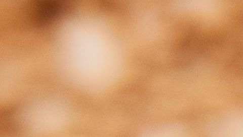 shutterstock_1131730478