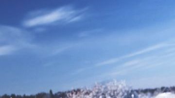 shutterstock_1203904363