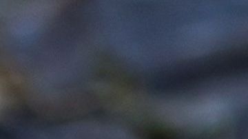 shutterstock_1284683578