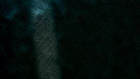 shutterstock_1306769026