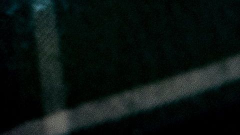 shutterstock_1306769026