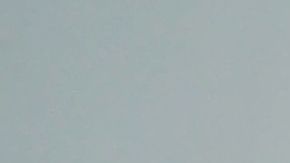 shutterstock_1398285788