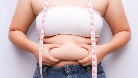 shutterstock_1444692188