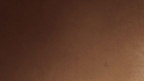 Estas infusiones herbales se destacan por sus propiedades antiespasmódicas y sedantes del sistema digestivo.