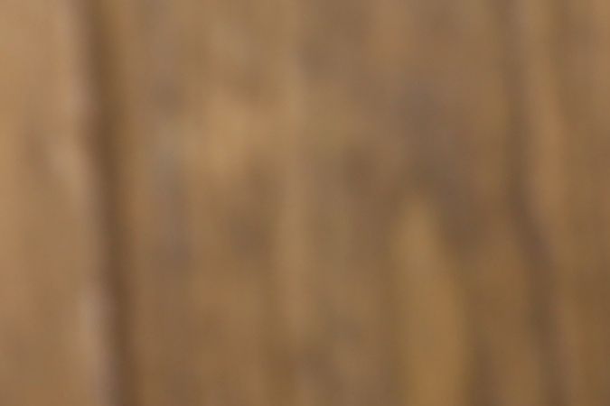 Increíbles beneficios de comer ciruelas que no conocías