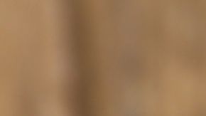 Increíbles beneficios de comer ciruelas que no conocías