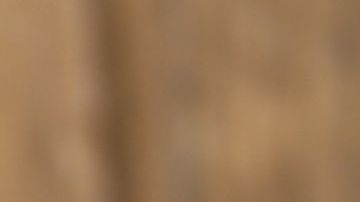 Increíbles beneficios de comer ciruelas que no conocías