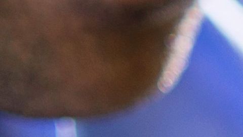 shutterstock_223573555