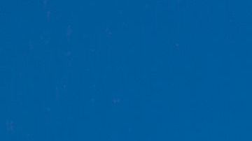 shutterstock_224430964