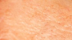 shutterstock_266455745