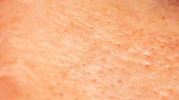 shutterstock_266455745